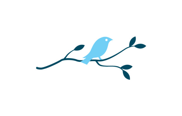 image of blue bird on a branch