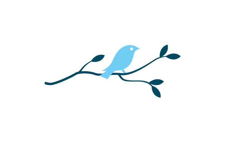 image of blue bird on a branch